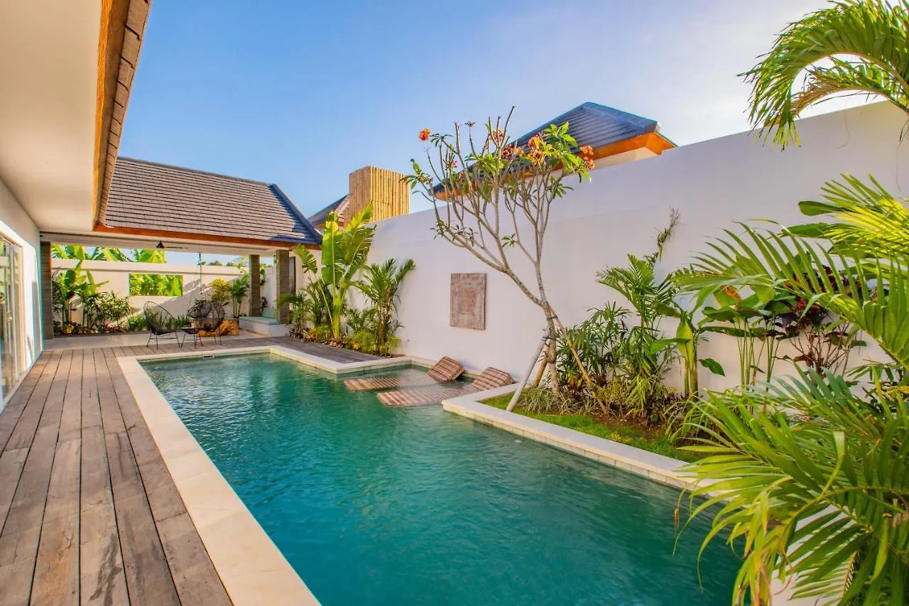 Hedonia Luxury Villas Seminyak