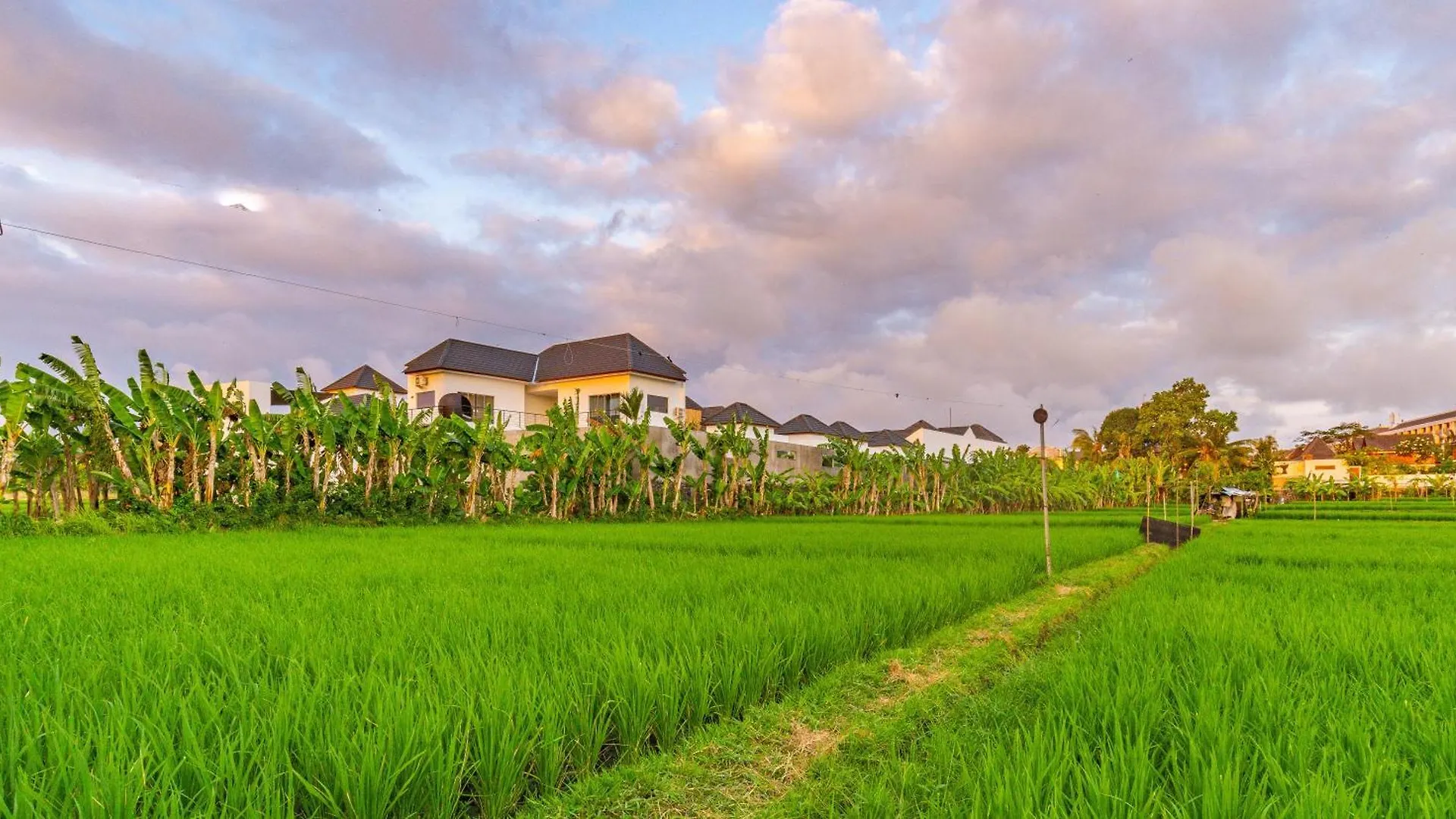 Hedonia Luxury Villas Seminyak  Seminyak (Bali)
